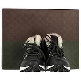 Gucci-Gucci Web Detail Shearling Lined High Top Sneakers in Brown Leather-Brown
