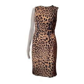 Robe en coton marron Roberto Cavalli Marron