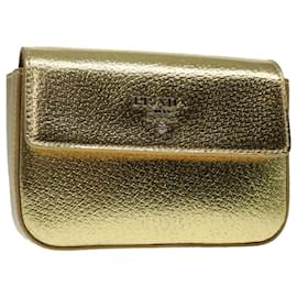 Prada-PRADA Accessory Pouch Leather Silver Gold Auth 88214-Silvery,Golden