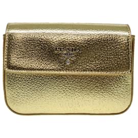 Prada-PRADA Accessory Pouch Leather Silver Gold Auth 88214-Silvery,Golden