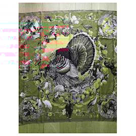 Hermès-Hermès Scarf/Square 90 cm "Fauna and Flora of Texas" Olivier Kermit-Bronze