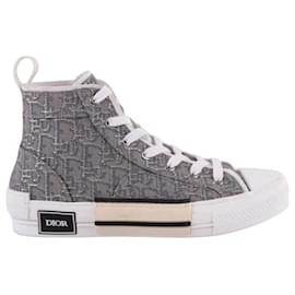 Dior-B23 gray sneakers-Grey