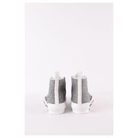 Dior-B23 gray sneakers-Grey