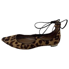 Aquazzura-AQUAZZURA  Ballet flats T.EU 38 Pony-style calfskin-Brown