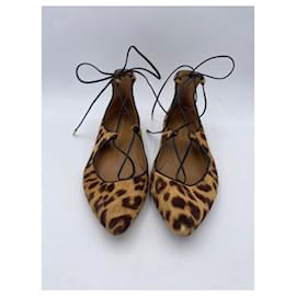 Aquazzura-AQUAZZURA  Ballet flats T.EU 38 Pony-style calfskin-Brown