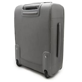 Louis Vuitton-Louis Vuitton Taiga Pegase 55 Suitcase-Grey
