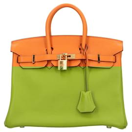 Hermès-Hermes Birkin 25 Handbag in Orange Leather-Orange