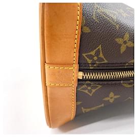 Louis Vuitton-Louis Vuitton Alma Monogram Canvas Handbag-Brown