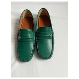 Gucci-Ayrton-Green