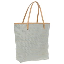 Fendi-FENDI Zucchino Canvas Tote Bag Light Blue Brown Silver Auth 90434-Brown,Silvery,Light blue