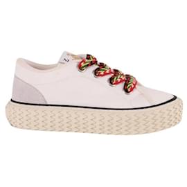 Lanvin-White sneakers-White
