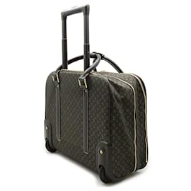 Louis Vuitton-Louis Vuitton Monogram Idylle Epopee Canvas Carry Bag-Brown