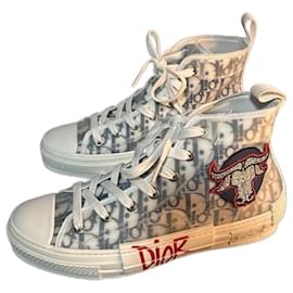 Dior-B23 high-Other