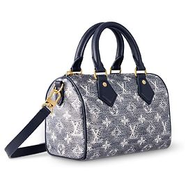 Louis Vuitton LV Speedy 20 monoglam Grey