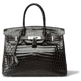 Hermès-HERMES Birkin 30 Bag in Exotic Leathers Gray - 102292-Grey