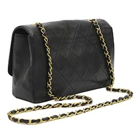 Chanel-Chanel Diana Chain Shoulder Bag-Other