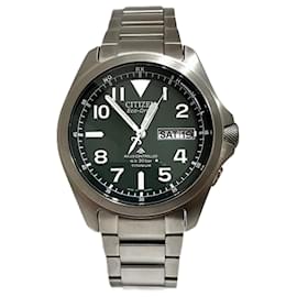 Citizens of Humanity-Citizen Promaster Eco-Drive PMD56-2951 Radio Solar Day Date Watch-Silvery