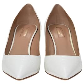 Aquazzura- Aquazzura Crocodile-Embossed Pointed Pumps in White Leather-White