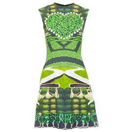 Robe shift imprimée Garden Party de Mary Katrantzou Vert