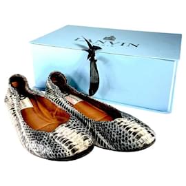 LANVIN Snakeskin Python Embossed Ballet Flats Multiple colors