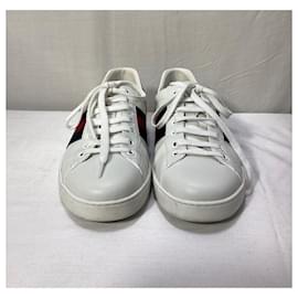 Gucci- Gucci Ace Web Low-Top Sneakers in White Leather-White