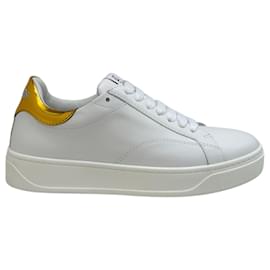 Lanvin-Lanvin White / Gold Leather DDBO Sneakers-White