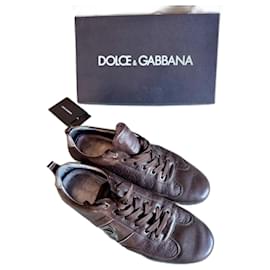 Dolce & Gabbana-Brown DG silver clasp-Dark brown