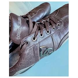 Dolce & Gabbana-Brown DG silver clasp-Dark brown