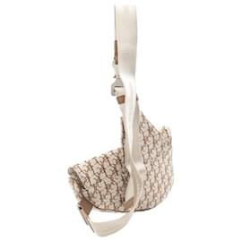 Dior-Beige Dior Cactus Jack Canvas Saddle Crossbody-Beige