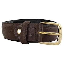 Balmain-Leather belt-Brown