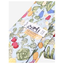 Hermès-Light blue silk printed tie-Blue
