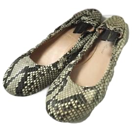Autre Marque Gianvito Rossi AUDREY Sapatilhas de balé de python Outro