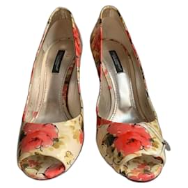 Dolce & Gabbana-Heels-Multiple colors
