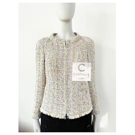 Chanel-Feather Trim Lesage Tweed Jacket 36 FR-Multiple colors
