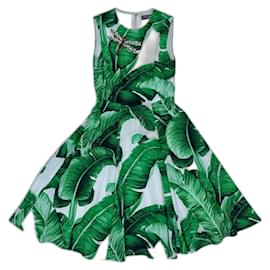 Dolce & Gabbana-Dresses-White,Green