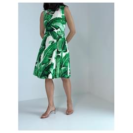 Dolce & Gabbana-Dresses-White,Green