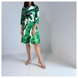 Dolce & Gabbana-Jackets-White,Green