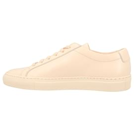 Autre Marque-Achilles Sneakers-Brown,Beige
