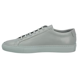 Autre Marque-Achilles Sneakers-Green
