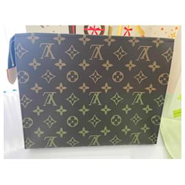 Louis Vuitton-Pouch/6-Dark brown