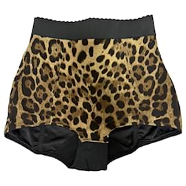Dolce & Gabbana-Shorts-Dark brown