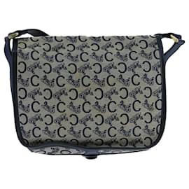 Céline-CELINE C Sulky Shoulder Bag Canvas Leather Navy Gold Auth 104449-Golden,Navy blue