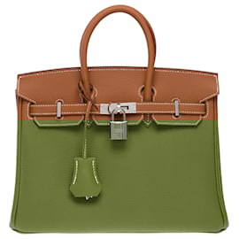 Hermès-HERMES Birkin 25 Bag in Golden Leather - 102380-Golden
