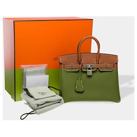 Hermès-HERMES Birkin 25 Bag in Golden Leather - 102380-Golden