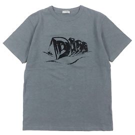 Camiseta de jersey de algodón slub Dior gris S Castaño