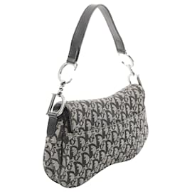 Dior-Dior Double Saddle-Brown