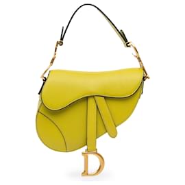 Dior-Dior Green Mini Leather Saddle-Golden,Green