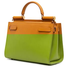 Dolce & Gabbana-Dolce & Gabbana Brown Small Calfskin Sicily 62-Brown,Light brown