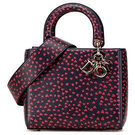Dior Blu Medio Pelle di Vitello Amo Parigi Lady Dior Blu Blu navy