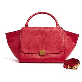 Céline Sac Trapeze Medium Flashy Pink Leather Bag New by Phoebe Philo Celine Rose